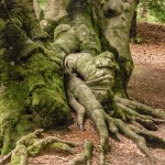 How Deep Are Your Roots? - A Leader's Core Convictions